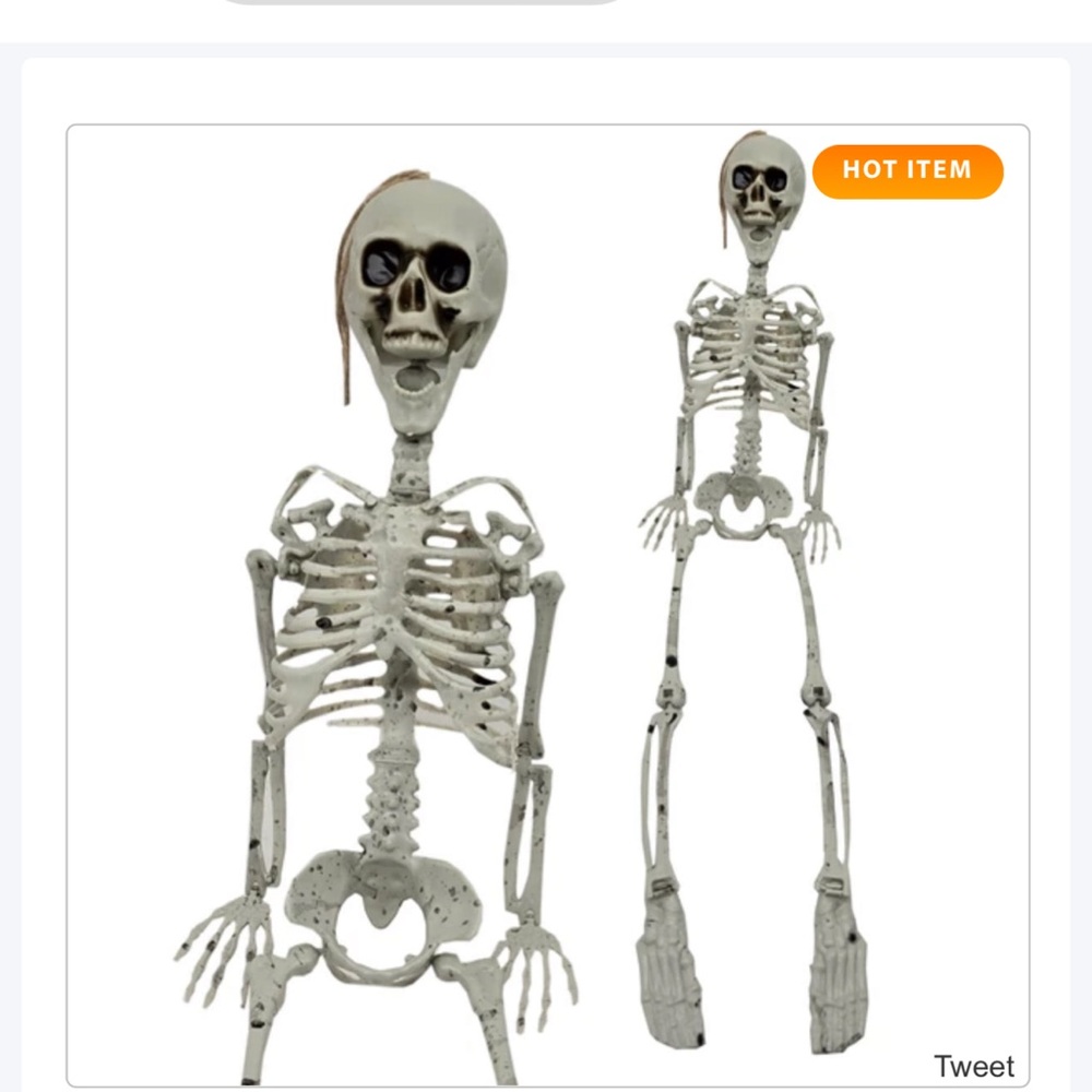 Realistic Skeleton Halloween Decor